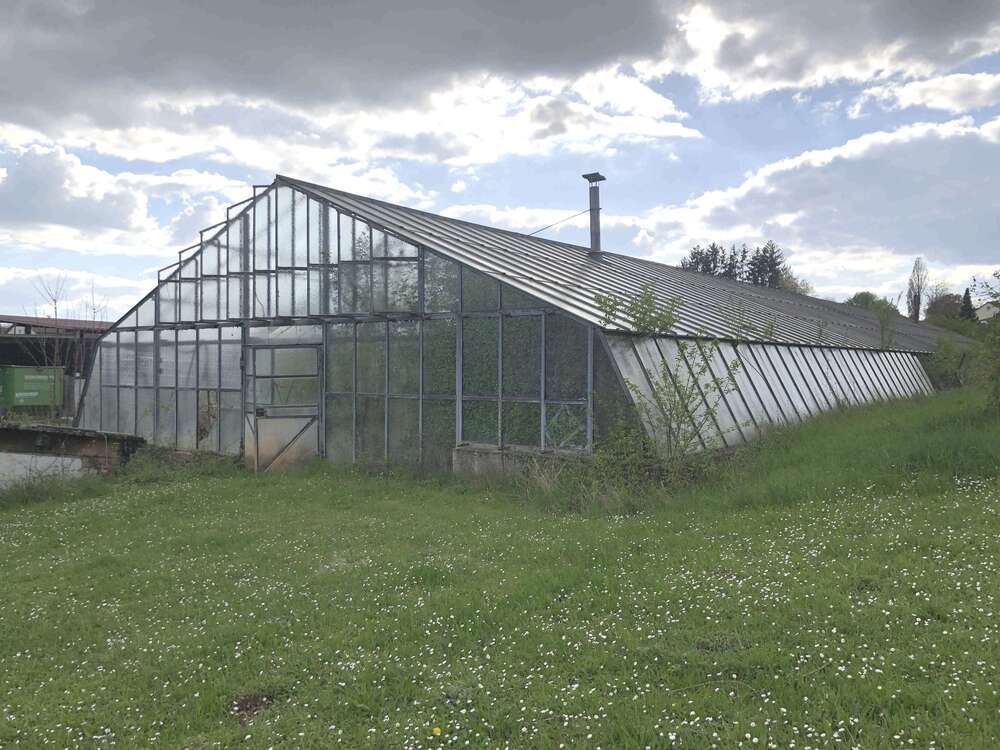 Thumbnail-Halle in Kirchardt 600,00 € 200 m²