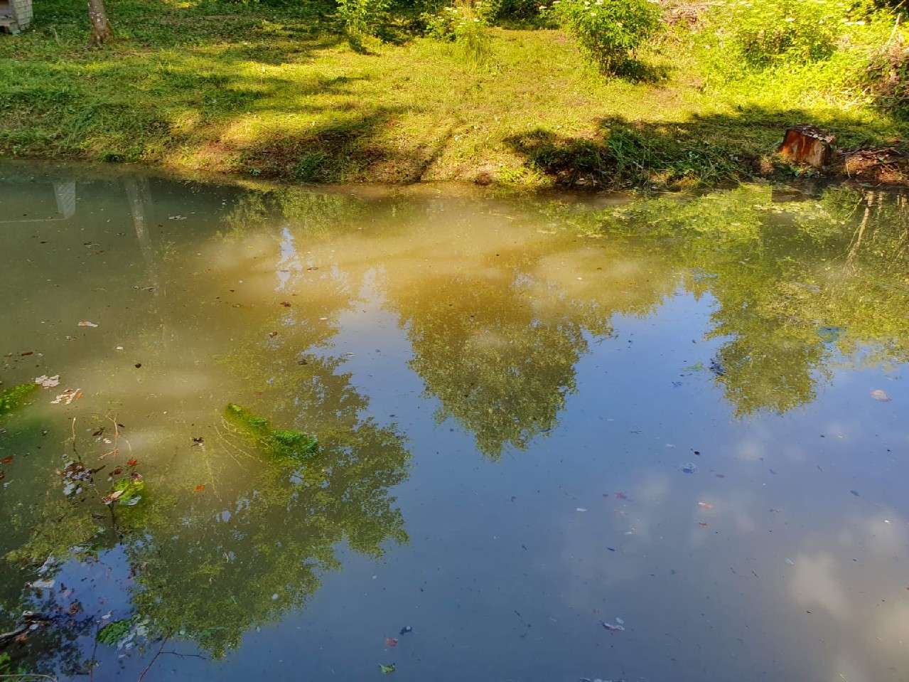 Thumbnail-Grundstück in Bad Grönenbach 19.500,00 € 2711 m²