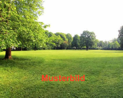 Thumbnail-Grundstück zu verkaufen in Berlin 305.000,00 € 679 m²