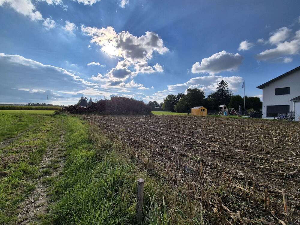 Thumbnail-Grundstück zu verkaufen in Hohenlinden 510.000,00 € 609 m²