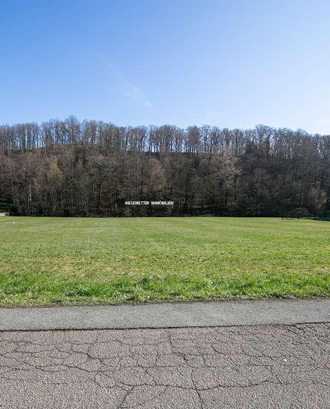 Thumbnail-Grundstück zu verkaufen in Zwickau 135.000,00 € 977.68 m²