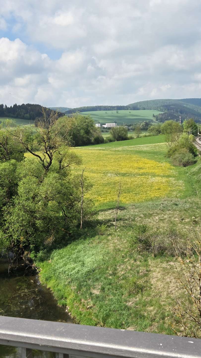 Thumbnail-Grundstück zu verkaufen in Immendingen 100.000,00 € 16266 m²