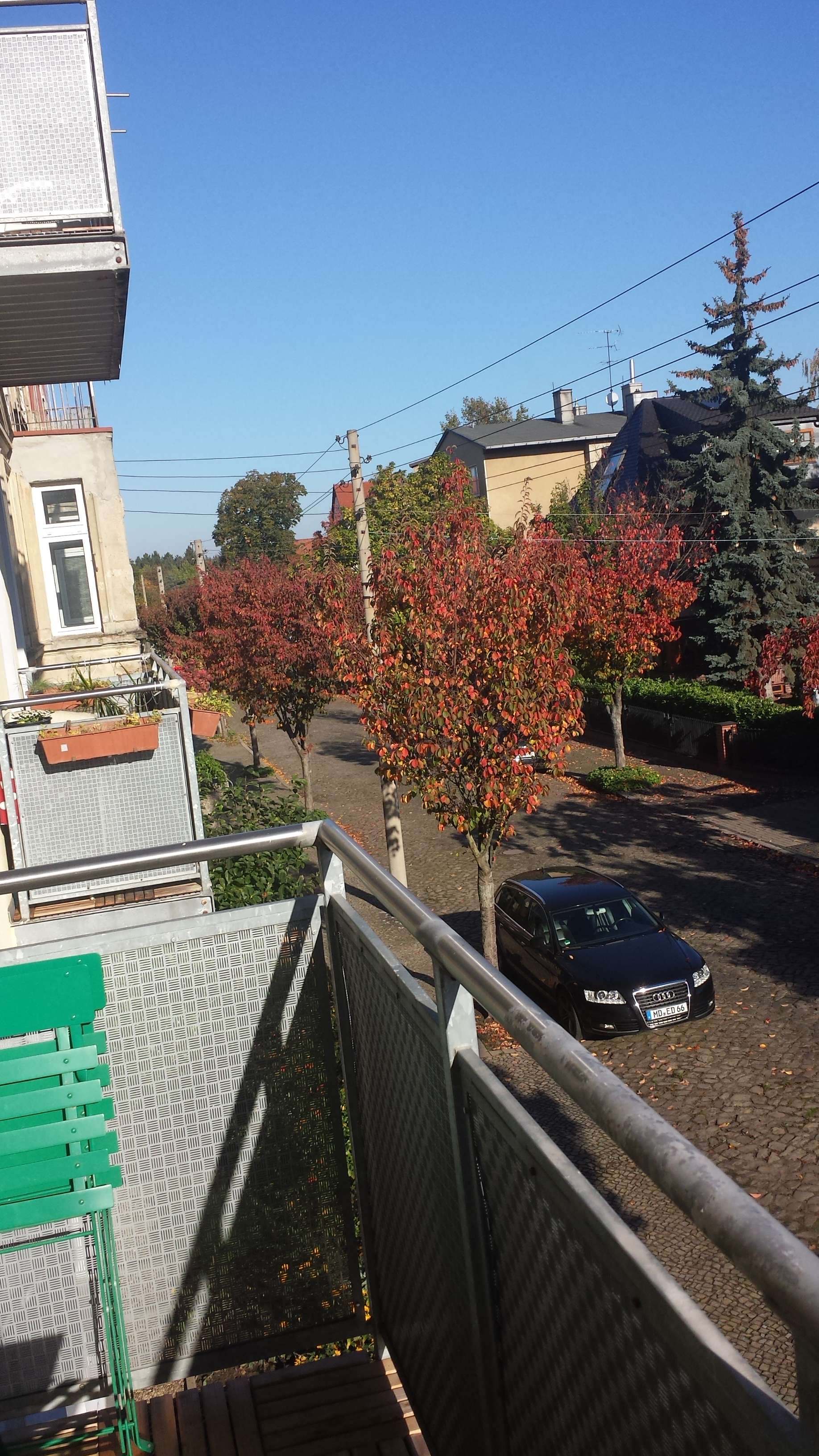 Thumbnail-Wohnung zum Mieten in Magdeburg 380,00 € 63 m²