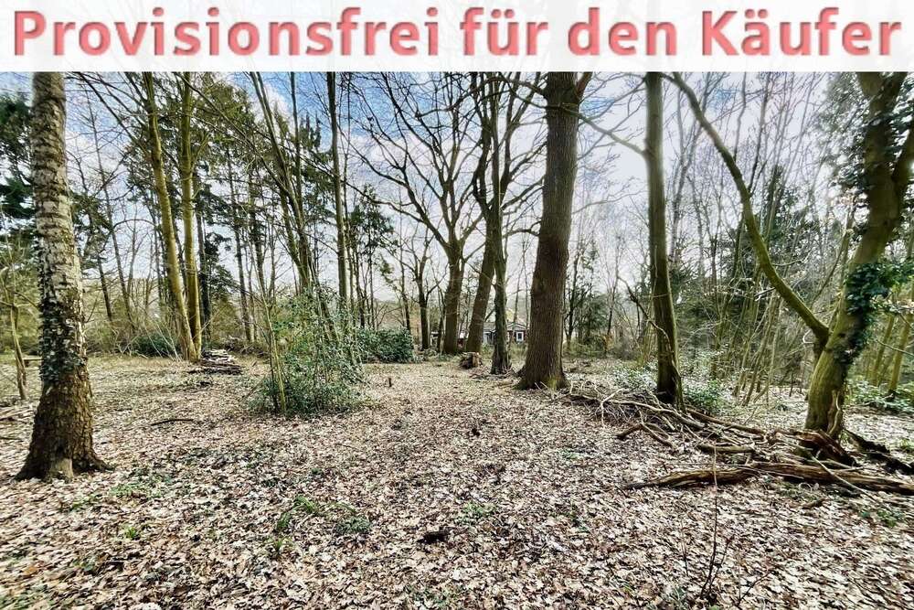 Thumbnail-Grundstück zu verkaufen in Hagen 85.000,00 € 7622 m²