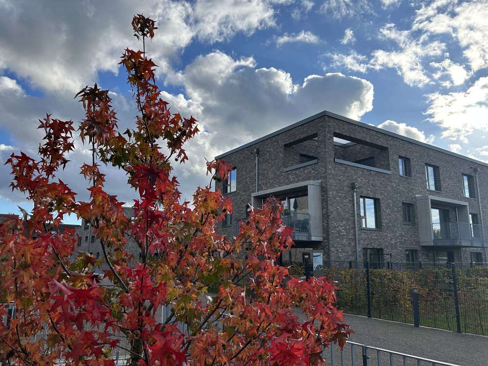 Thumbnail-Wohnung zum Kaufen in Köln - Widdersdorf 650.700,00 € 114.56 m²