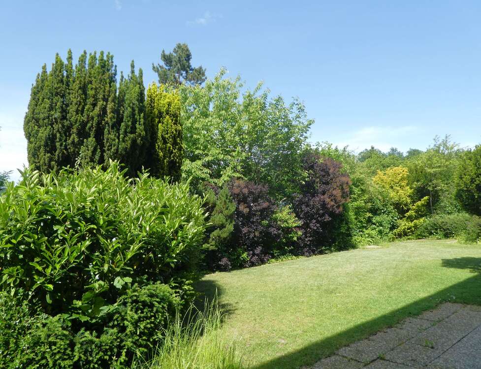 Thumbnail-Wohnung zum Mieten in Leonberg 750,00 € 60 m²