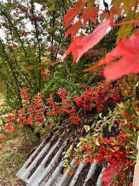 Thumbnail-Grundstück zu verkaufen in Königs Wusterhausen 309.000,00 € 1284 m²