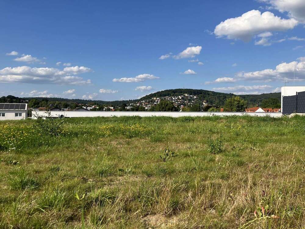 Thumbnail-Grundstück zu verkaufen in Büdingen 244.125,00 € 1395 m²