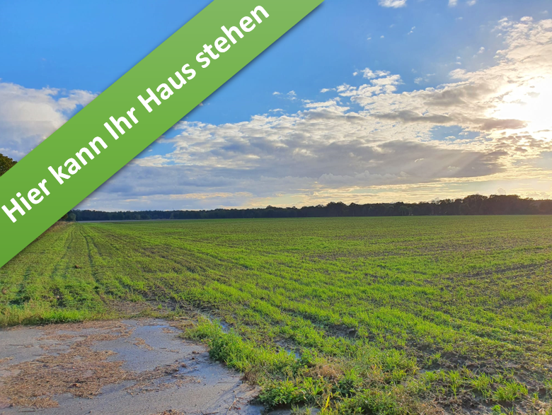 Thumbnail-Haus zum Kaufen in Rötgesbüttel 382.500,00 € 166 m²