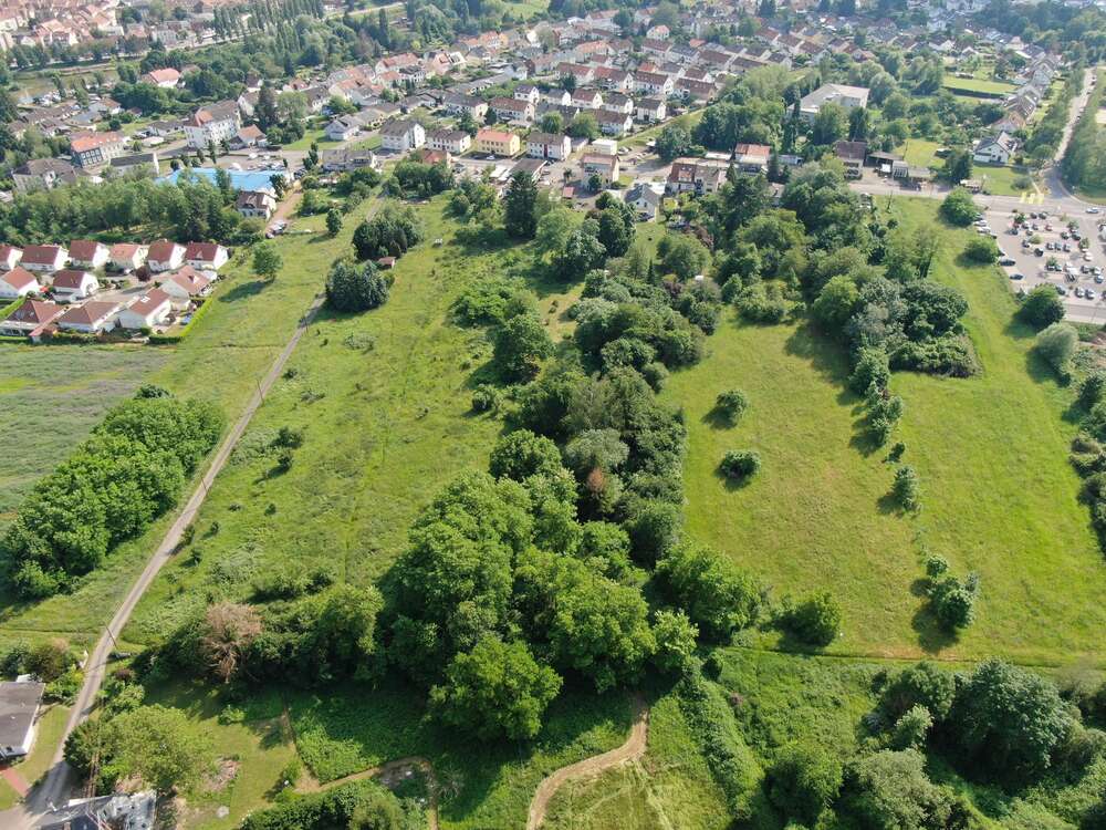 Thumbnail-Haus zum Kaufen in Hanweiler - Rilchingen 599.000,00 € 311.37 m²