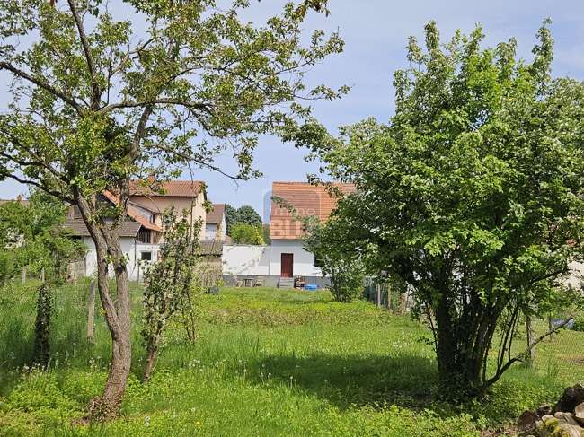 Thumbnail-Grundstück zu verkaufen in Weingarten (Baden) 249.000,00 € 459 m²
