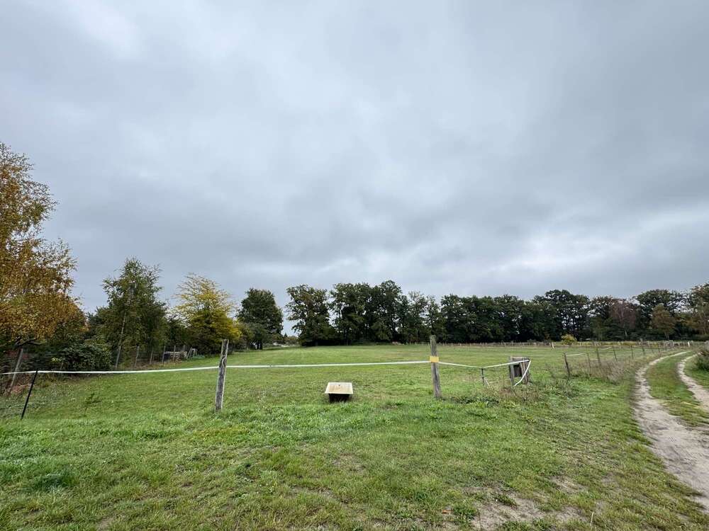 Thumbnail-Grundstück in Weisen 29.500,00 € 1945 m²
