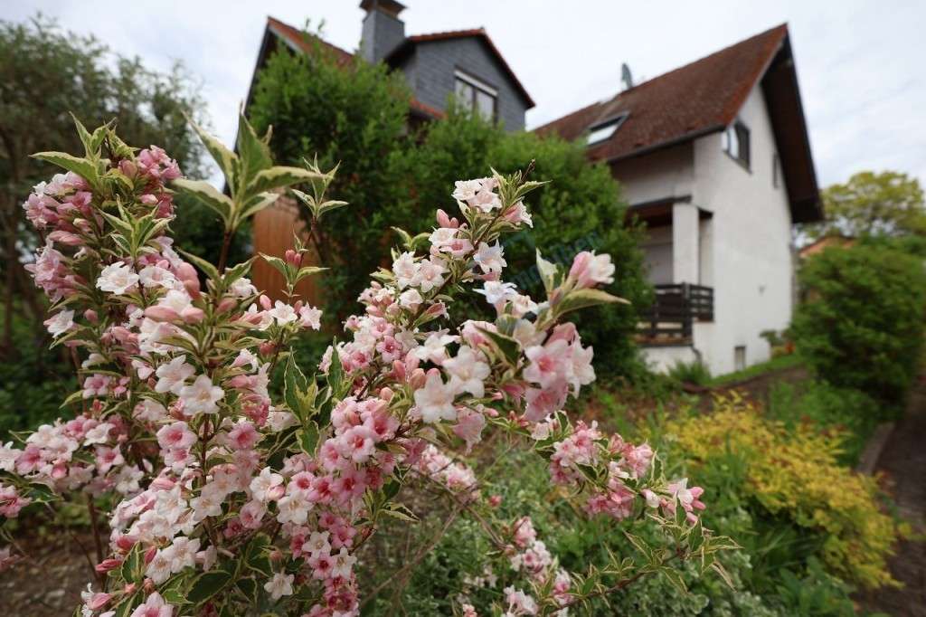Thumbnail-Wohnung zum Mieten in Pfungstadt 700,00 € 65.59 m²