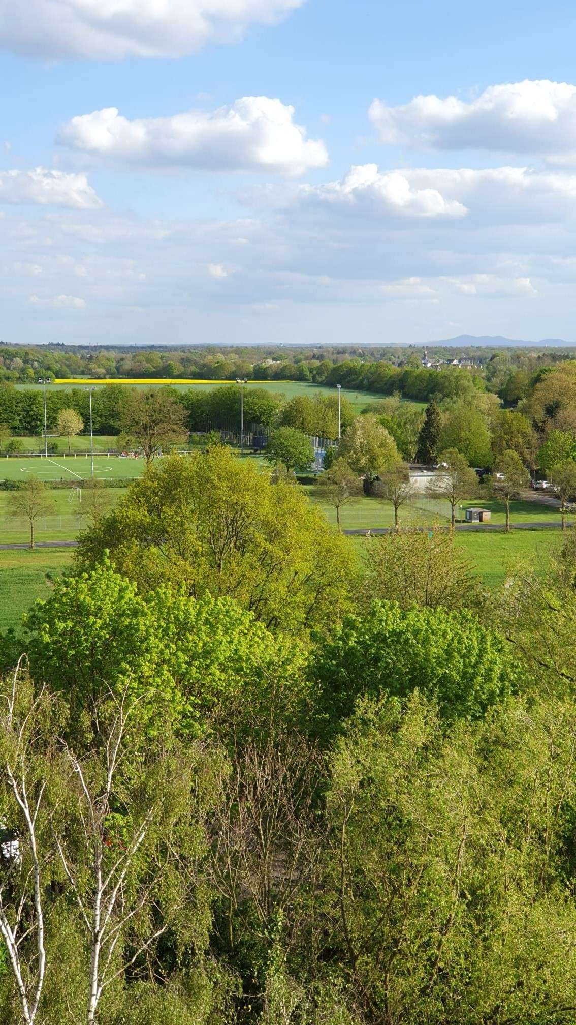 Thumbnail-Wohnung zum Kaufen in Köln 129.000,00 € 40 m²