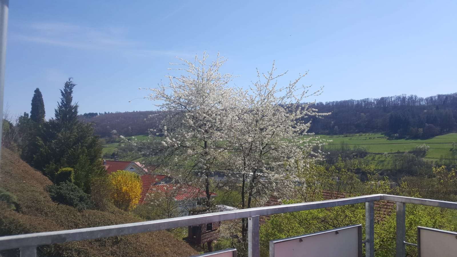 Thumbnail-Wohnung zum Kaufen in Künzelsau 269.000,00 € 80 m²