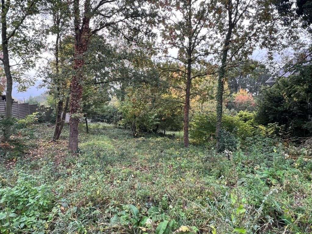 Thumbnail-Grundstück zu verkaufen in Hagen 250.000,00 € 1204 m²