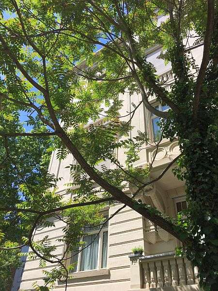 Thumbnail-Wohnung zum Kaufen in Wiesbaden 271.000,00 € 66.9 m²