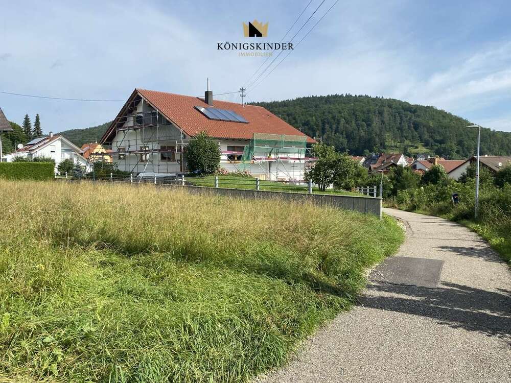 Thumbnail-Grundstück zu verkaufen in Burladingen 350.000,00 € 2442 m²
