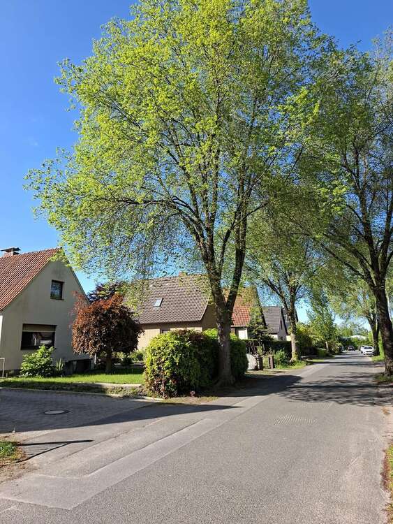 Thumbnail-Grundstück zu verkaufen in Halstenbek 390.000,00 € 447 m²