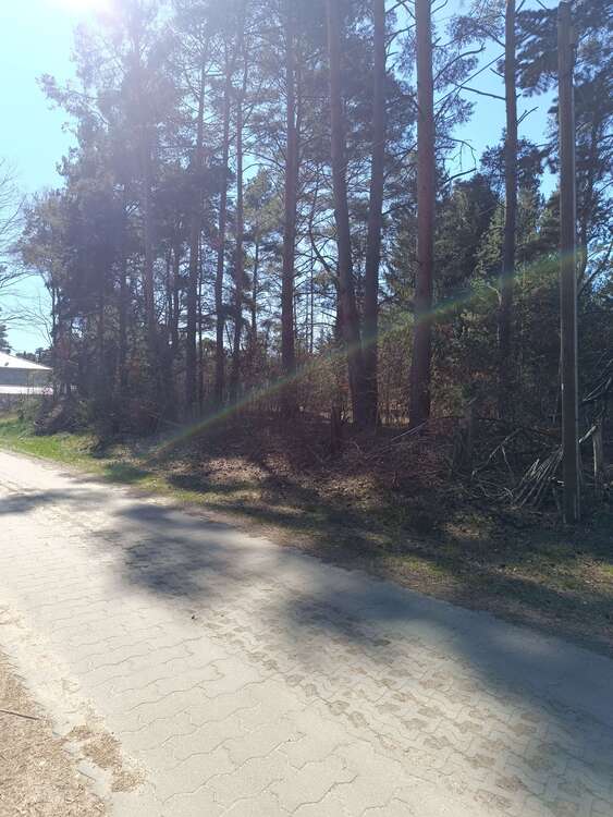 Thumbnail-Grundstück zu verkaufen in Mittenwalde OT Töpchin 447.000,00 € 3593 m²