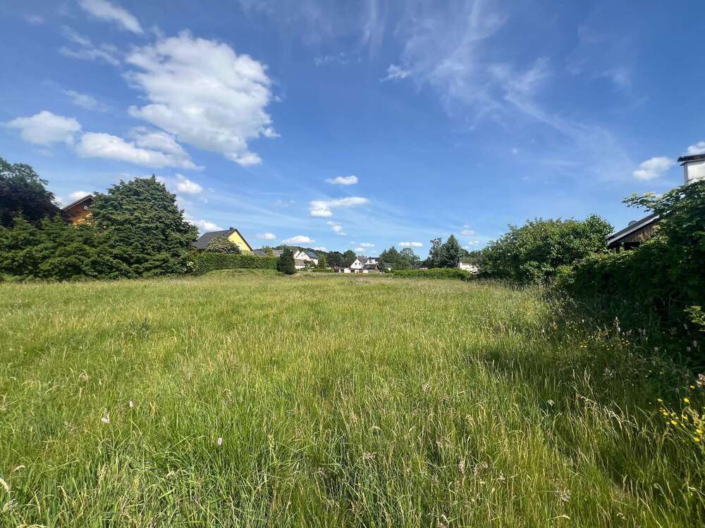 Thumbnail-Grundstück zu verkaufen in LichtenbergErzgebirge 65.000,00 € 1422 m²