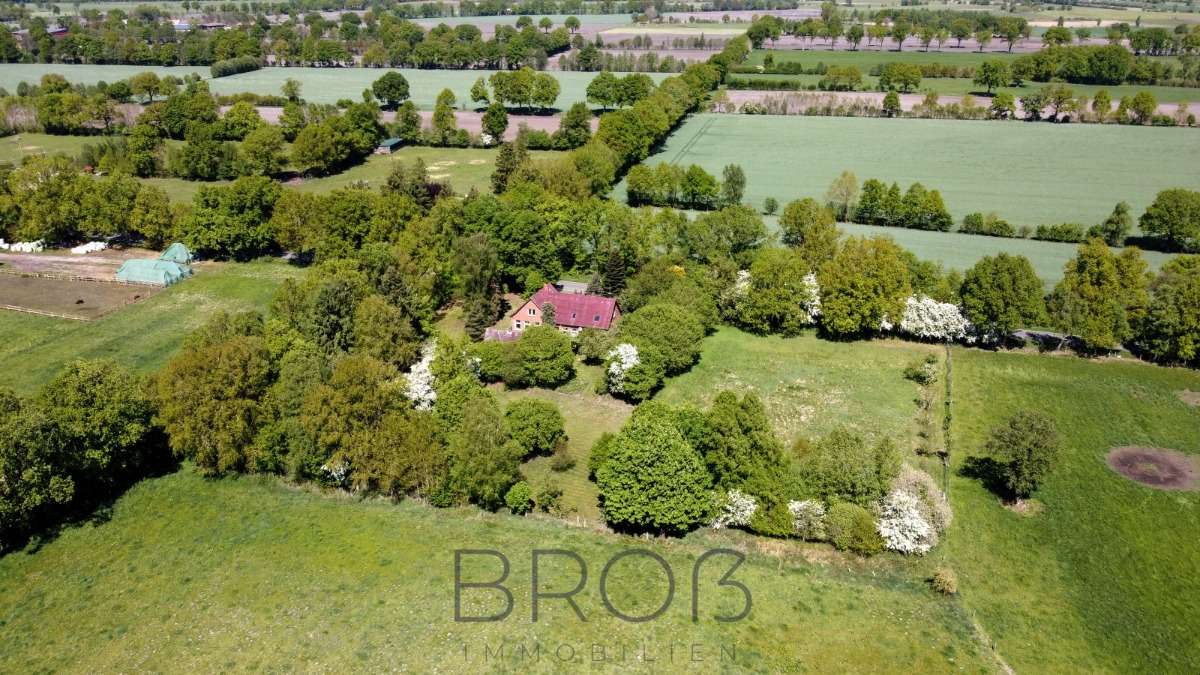Thumbnail-Haus zum Kaufen in Todesfelde 480.000,00 € 250 m²