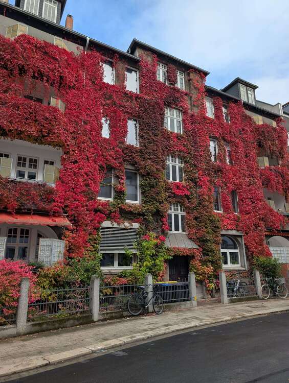 Thumbnail-Wohnung zum Kaufen in Braunschweig 349.000,00 € 116 m²