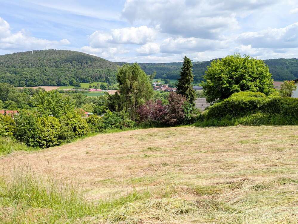 Thumbnail-Grundstück zu verkaufen in Höchst 189.000,00 € 1149 m²