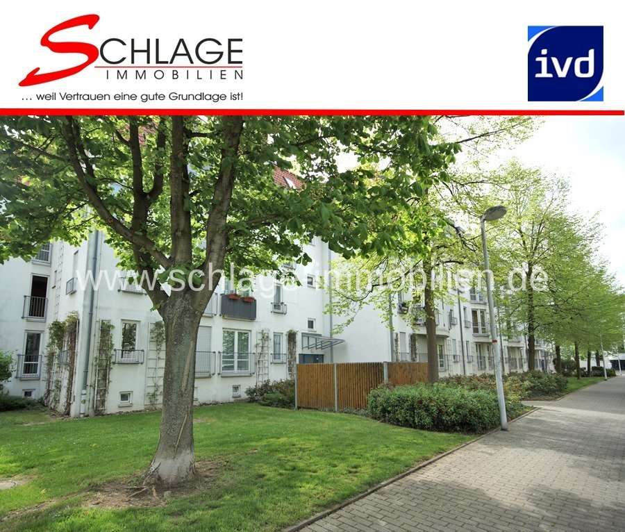 Thumbnail-Wohnung zum Mieten in Dresden 315,00 € 34.5 m²