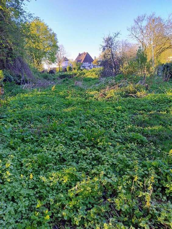 Thumbnail-Grundstück zu verkaufen in Ovelgönne 69.000,00 € 824 m²