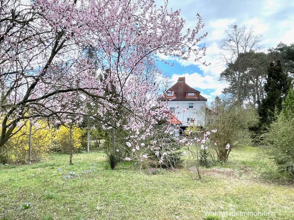 Thumbnail-Haus zum Kaufen in Bergholz-Rehbrücke 699.000,00 € 250 m²