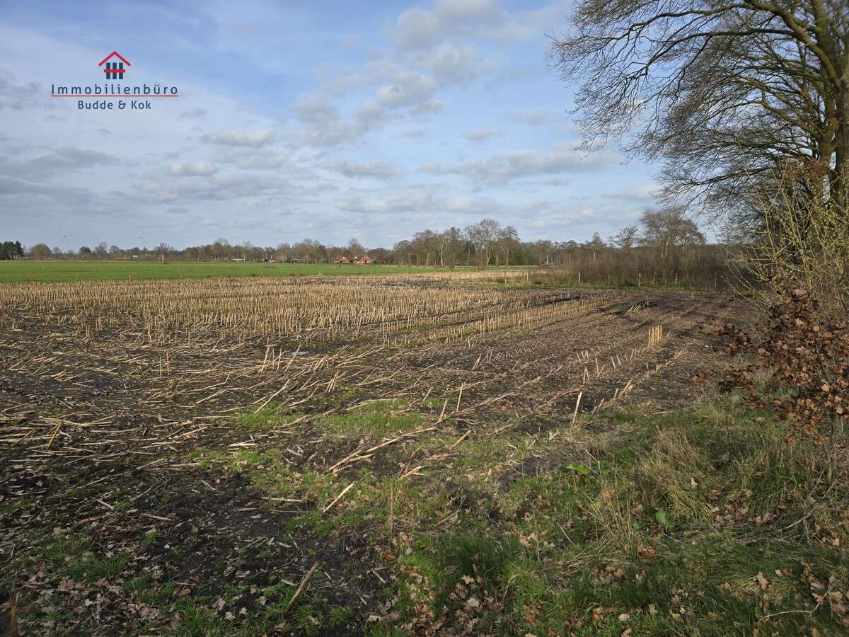 Thumbnail-Grundstück in Friesoythe 77.450,00 € 7745 m²