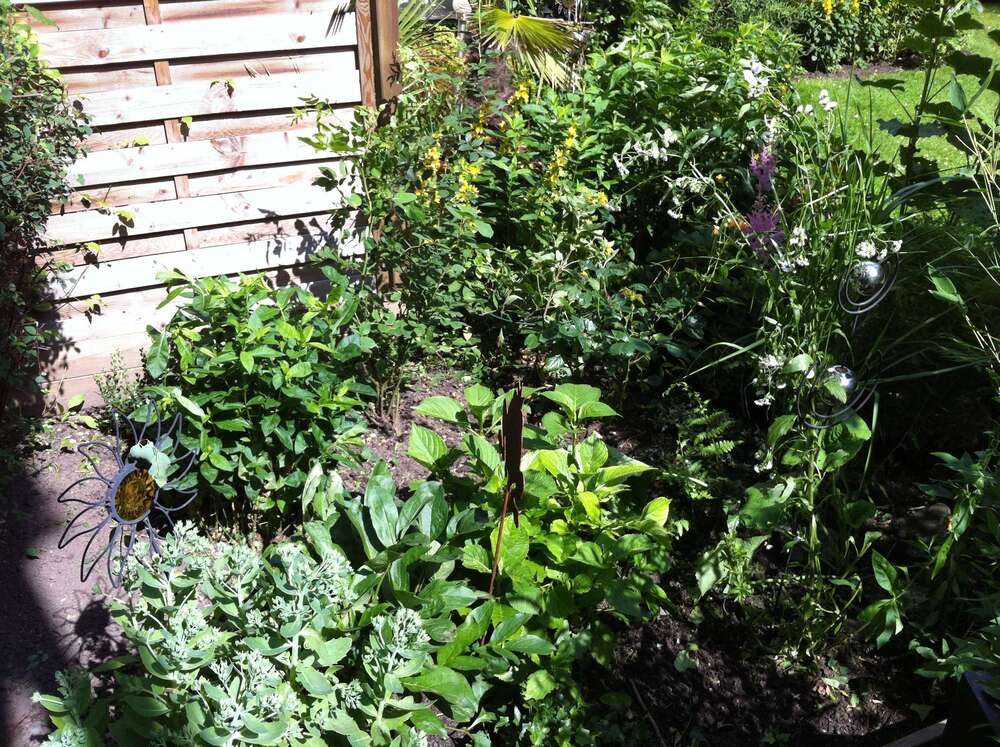 Thumbnail-Grundstück zu verkaufen in Düsseldorf 490.000,00 € 700 m²