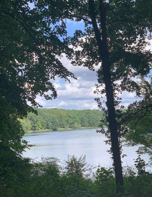 Thumbnail-Grundstück zu verkaufen in Schlachtensee 1.980.000,00 € 970 m²