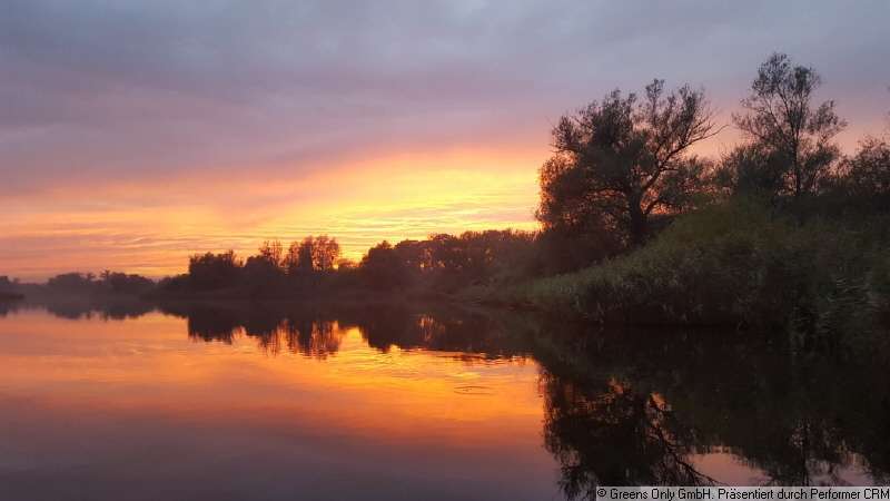 Thumbnail-Haus zum Kaufen in Teterow 195.000,00 € 55 m²