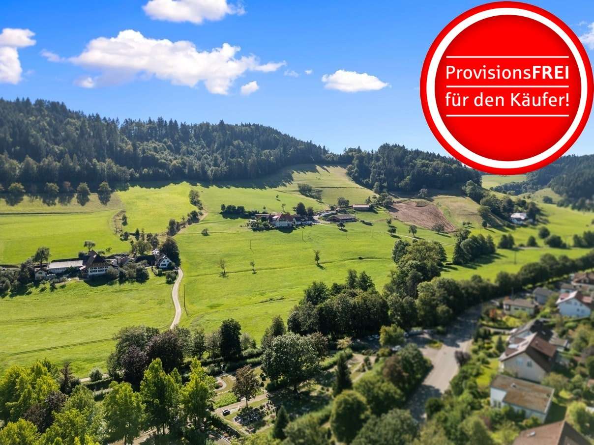 Thumbnail-Wohnung zum Kaufen in Waldkirch 265.000,00 € 36.35 m²