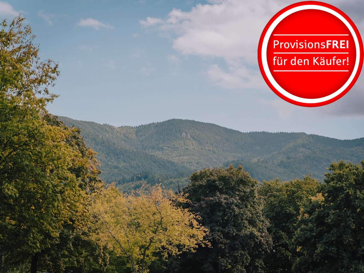 Thumbnail-Wohnung zum Kaufen in Waldkirch 795.000,00 € 124.61 m²