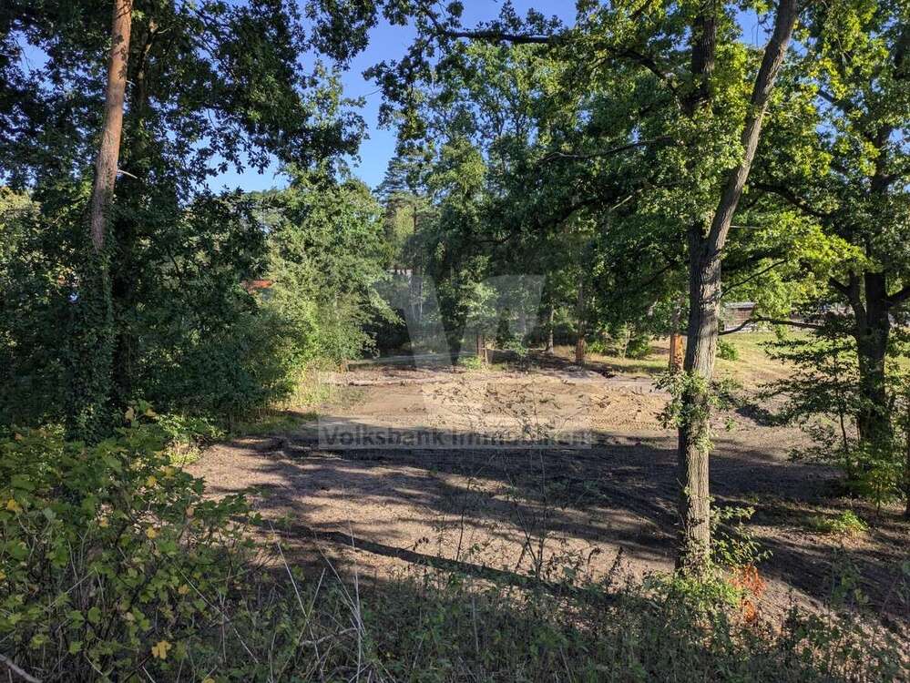 Thumbnail-Grundstück zu verkaufen in Gifhorn Winkel 290.000,00 € 2200 m²