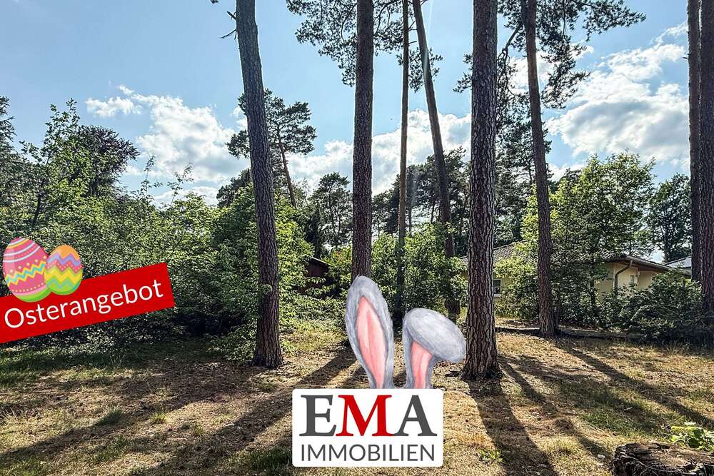 Thumbnail-Grundstück zu verkaufen in Schönwalde-Glien 452.000,00 € 1738 m²