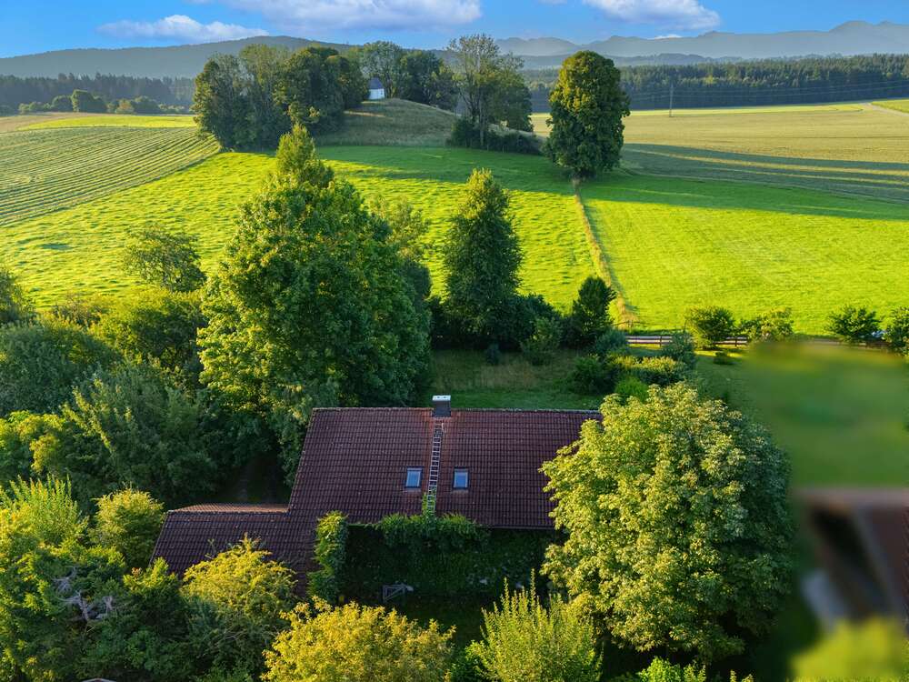 Thumbnail-Grundstück zu verkaufen in HolzkirchenSufferloh 1.240.000,00 € 1569 m²