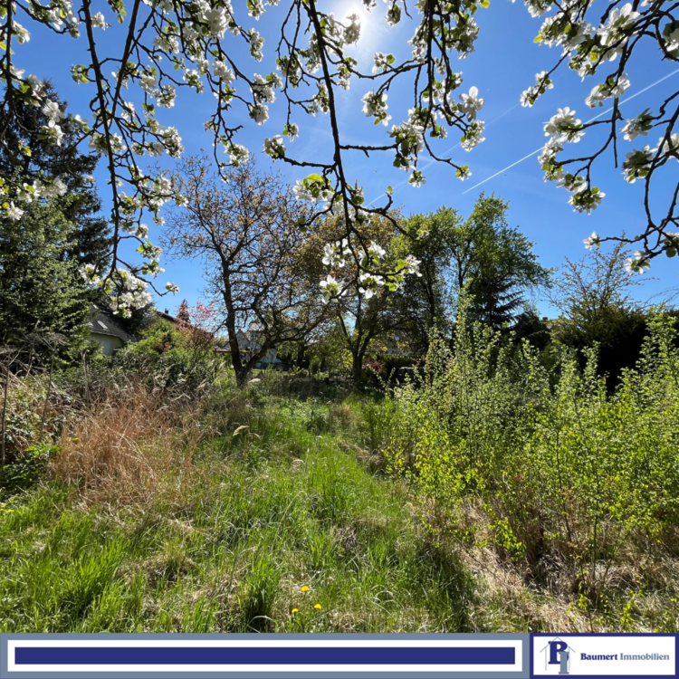 Thumbnail-Grundstück zu verkaufen in Berlin 264.000,00 € 501 m²