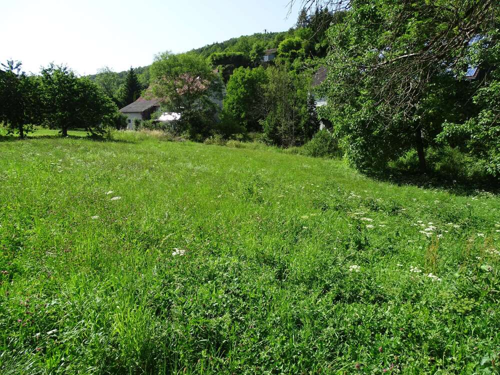 Thumbnail-Haus zum Kaufen in Tengen-Uttenhofen 445.000,00 € 227 m²