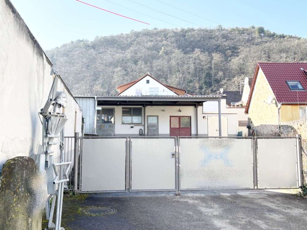 Thumbnail-Haus zum Kaufen in Neustadt Gimmeldingen 699.000,00 € 141 m²