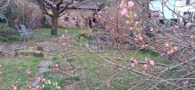 Thumbnail-Grundstück zu verkaufen in Pfinztal 399.000,00 € 700 m²