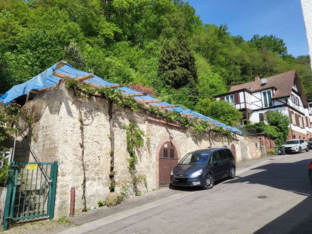 Thumbnail-Grundstück zu verkaufen in Bad Bergzabern 118.000,00 € 1070 m²