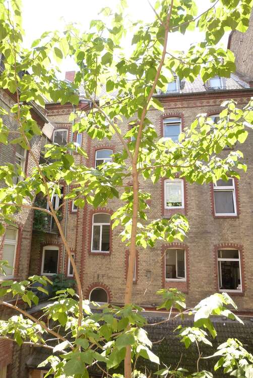 Thumbnail-Wohnung zum Mieten in Wiesbaden 1.050,00 € 75.5 m²