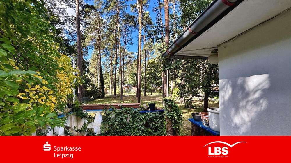 Thumbnail-Haus zum Kaufen in Zschepplin 65.000,00 € 45 m²