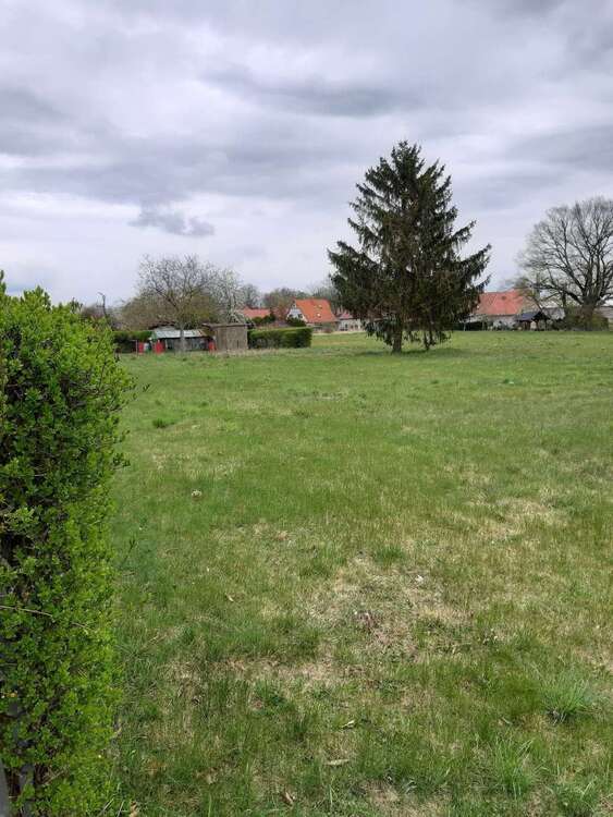 Thumbnail-Haus zum Kaufen in Heinsdorf 295.900,00 € 120 m²