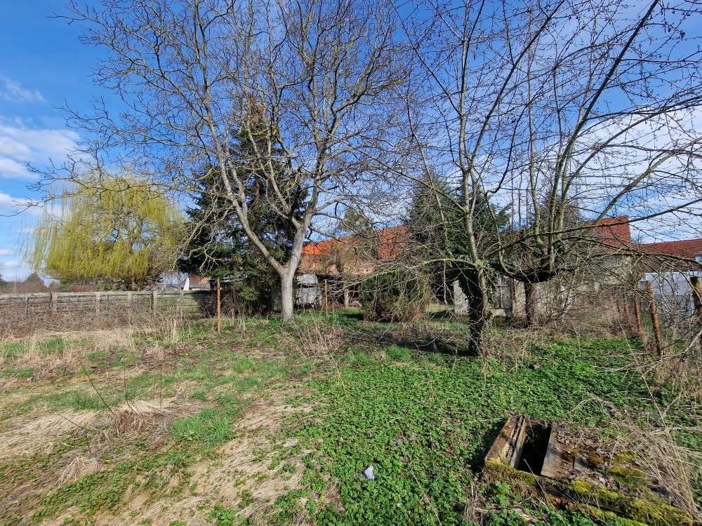 Thumbnail-Haus zum Kaufen in Dessau-Roßlau 199.000,00 € 186.57 m²