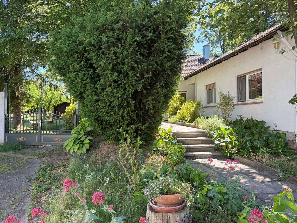 Thumbnail-Haus zum Kaufen in Stadecken-Elsheim 819.500,00 € 258 m²